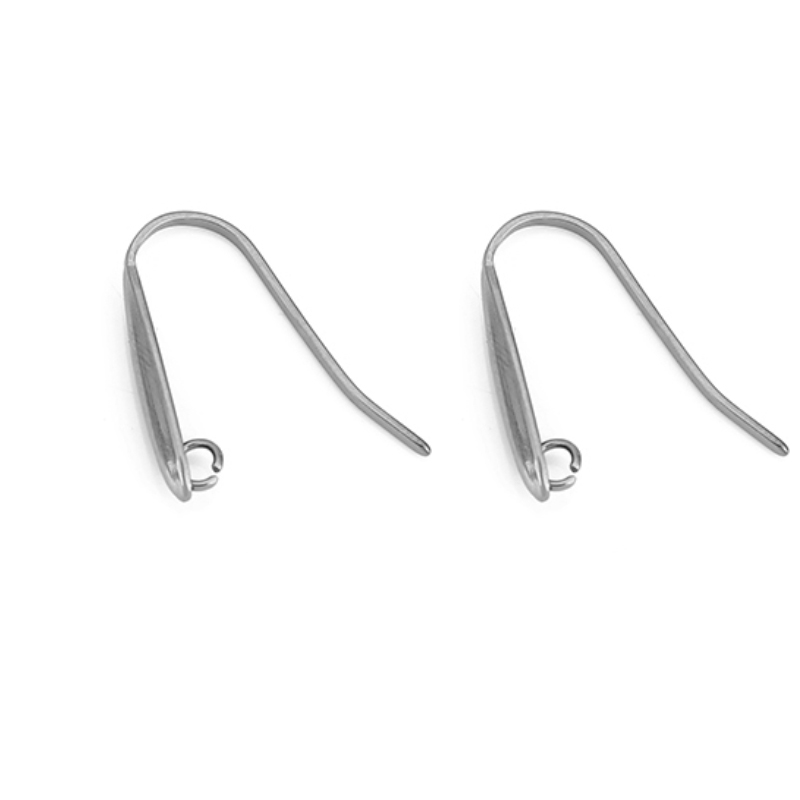 10 stks Nooit Vervagen Rvs Oor - Jewelry Making Wire recensie en prijs